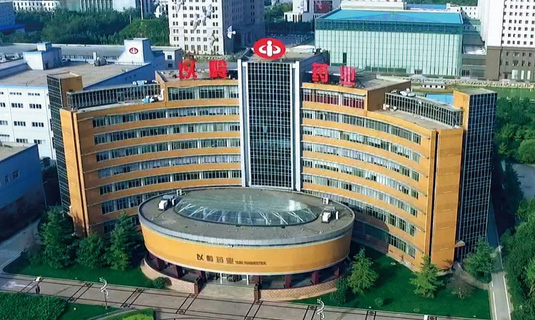 祝賀顆粒物過濾效率儀中標石家莊以嶺藥業！